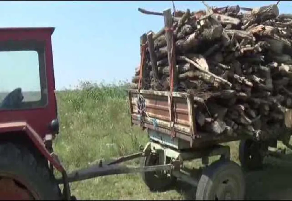 Depistat de jandarmi cu tractorul plin cu lemne fără documente