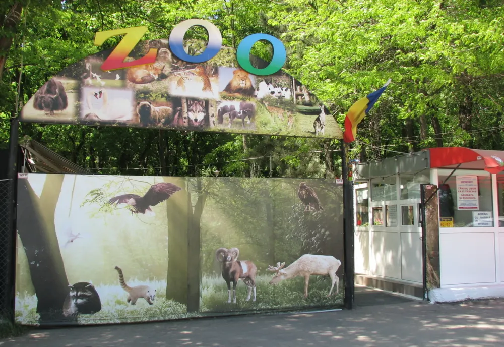Pestă porcină africană confirmată la Grădina Zoo din Brăila