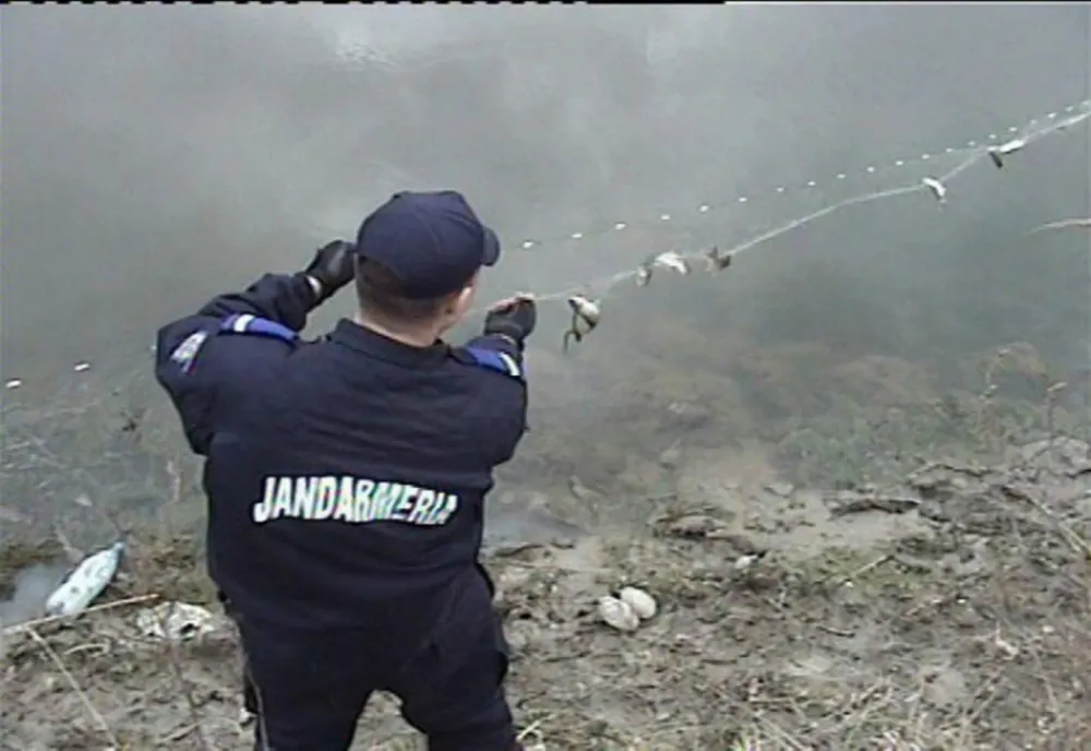 Jandarmii brăileni au acţionat pentru protecţia fondului piscicol natural.