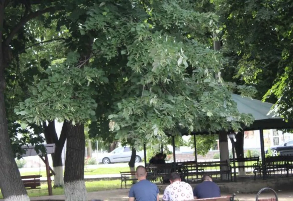 Conflict în zona parcului din Însurăței