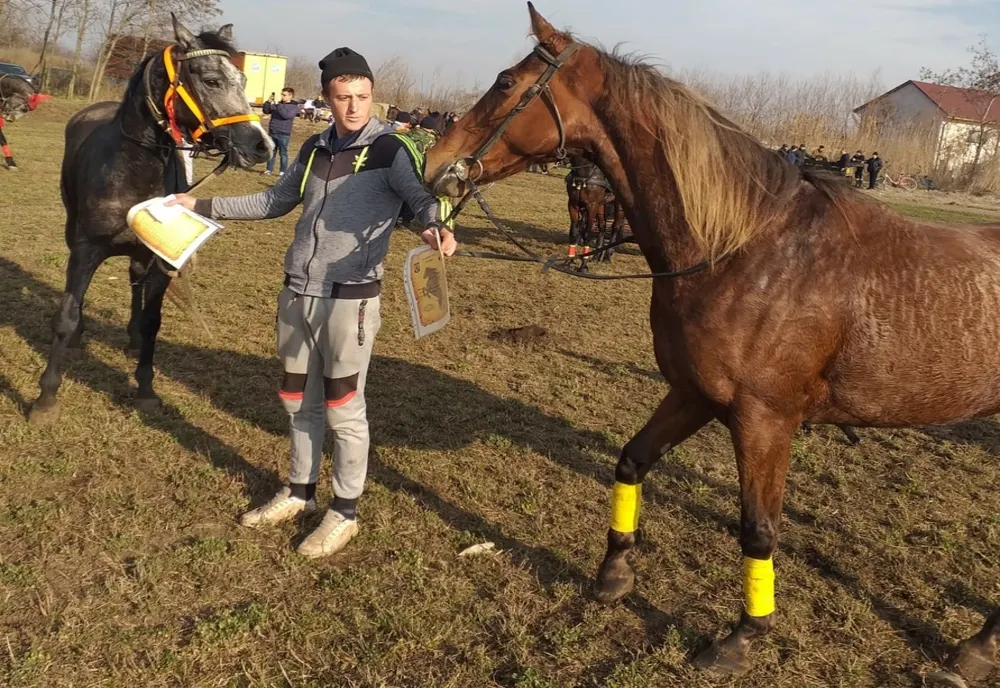 De Bobotează, la Cazasu s-a desfășurat tradiționala cursă a cailor
