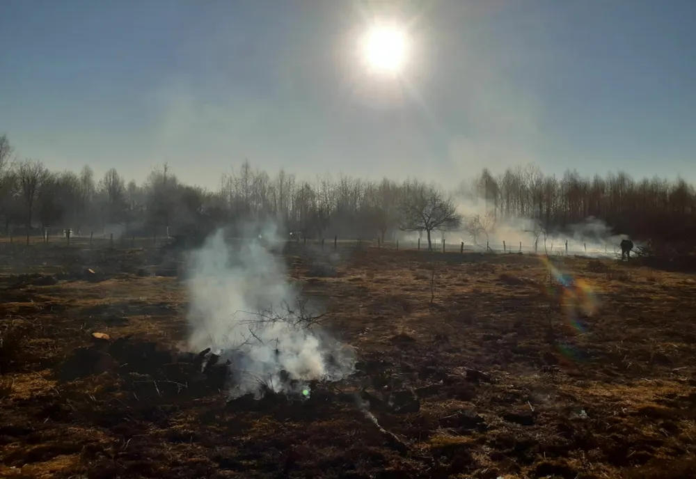 Incendii de vegetație uscată pe o suprafațăd e circa 27 de hectare