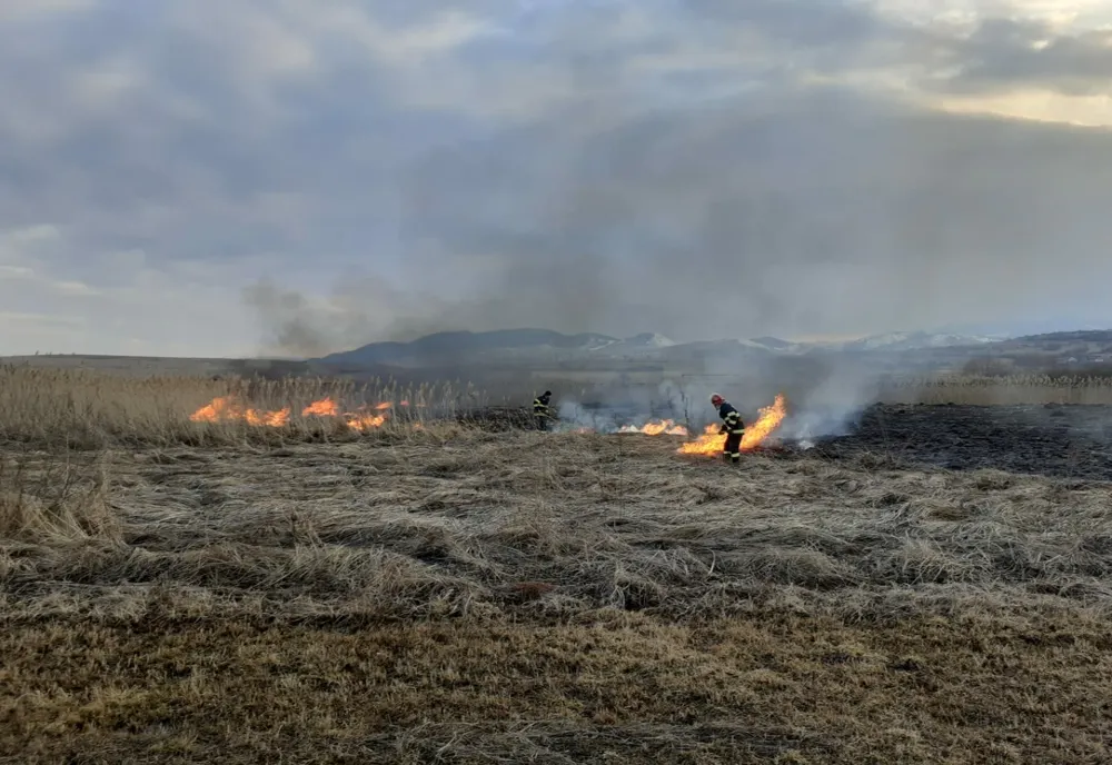 În weekend au fost 10 incendii de vegetație uscată în județul Brăila