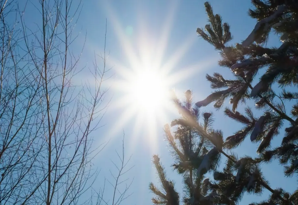 VREMEA 1 IANUARIE. TEMPERATURI NEOBIȘNUIT DE RIDICATE
