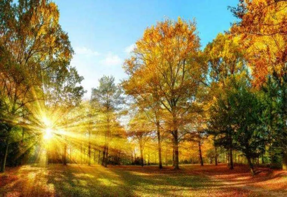 METEO: VREMEA SE ÎNCĂLZEȘTE LA FINALUL SĂPTĂMÂNII
