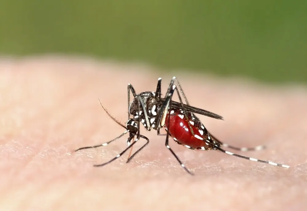 Virusul West Nile