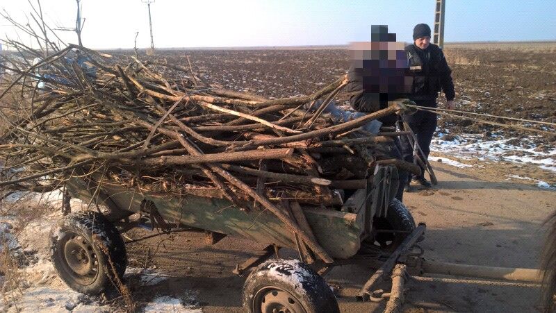 BlurImage_9-1-2019-1-49-24