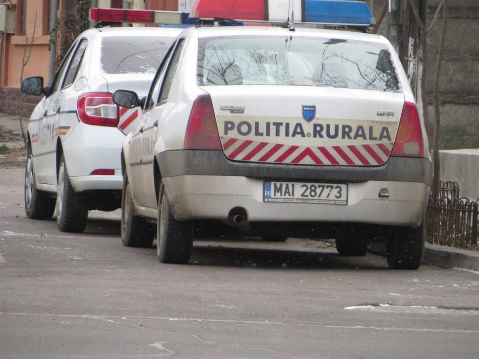 societăţi comerciale