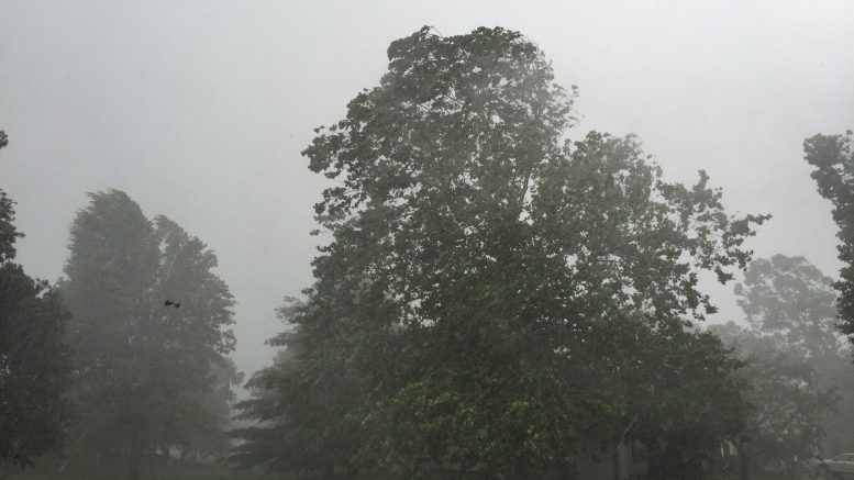 Avertizare meteo de vânt puternic în județul Brăila