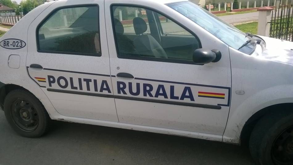 Furt de material lemnos pe raza comunei Tufești