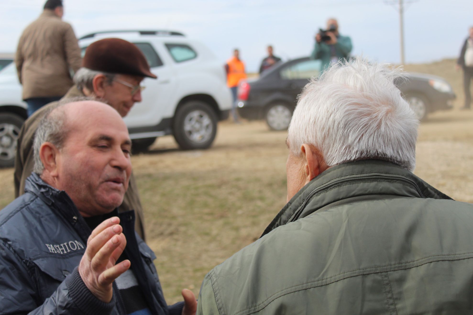 Daea: Cormoranii s-au înmulțit în ultimii 25 de ani de 24 de ori