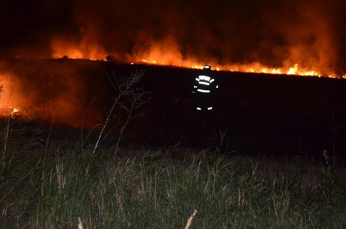 Incendiu de vegetație în Rezervația Insula Mică a Brăilei