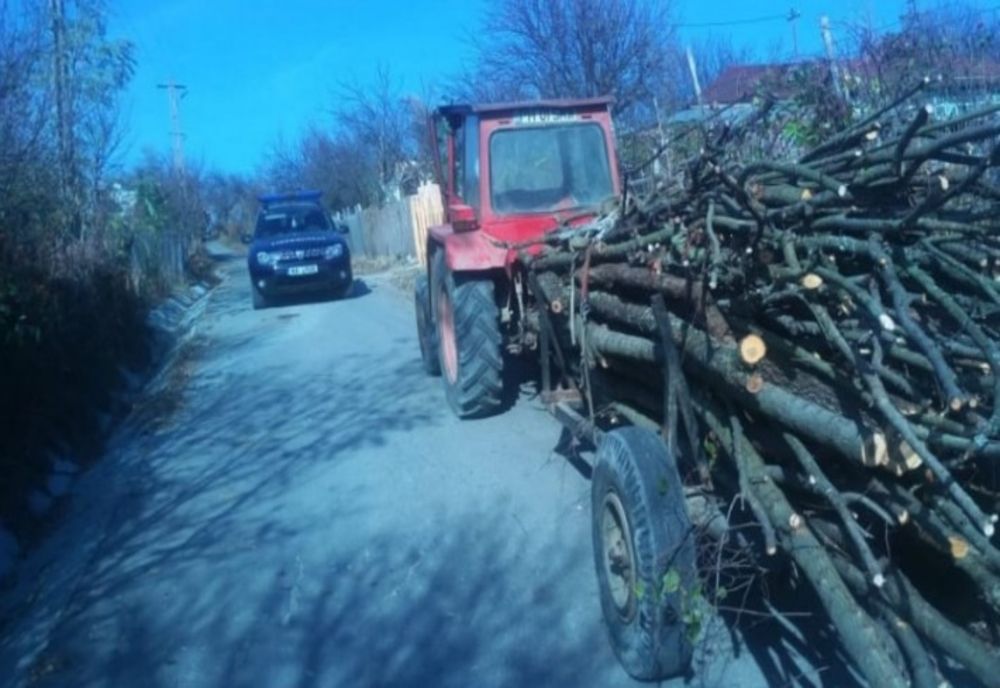 Depistați de jandarmi transportând materiale lemnoase fără documente