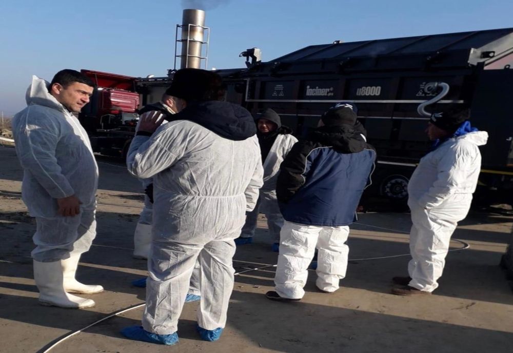 Brăila a scăpat de Pesta Porcină Africană