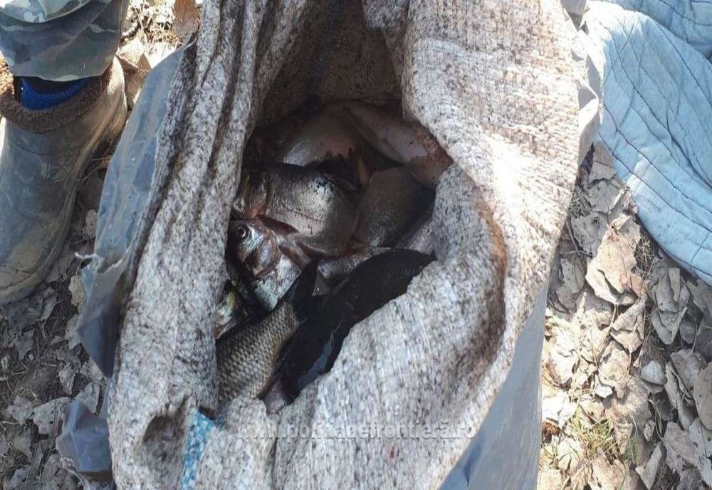 Infracțiuni de braconaj piscicol constatate de polițiștii de frontieră brăileni