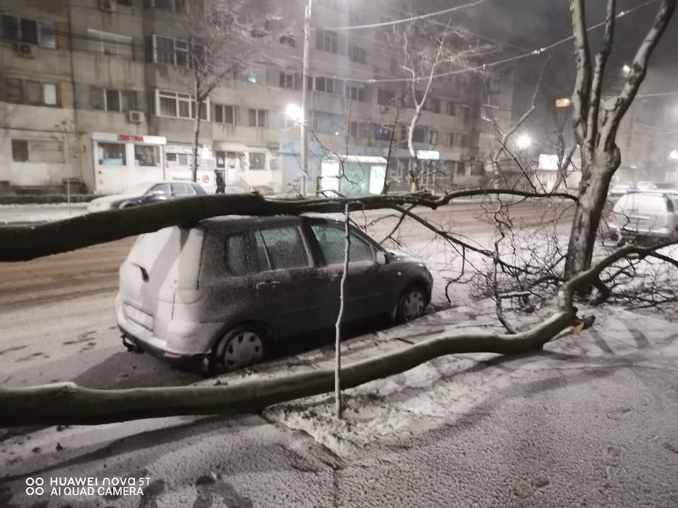 84108863_1364015763785789_2022136380380938240_n