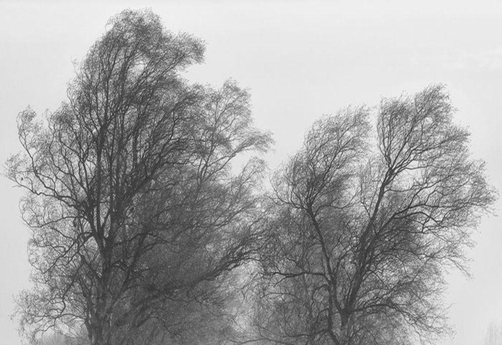 Avertizare cod galben de vânt puternic