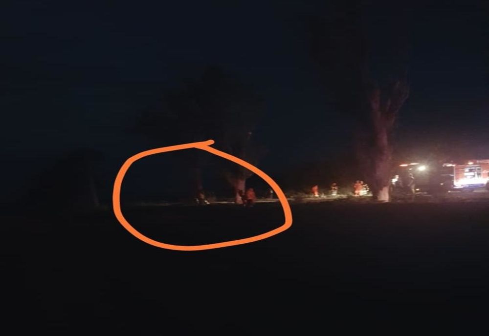 Tragedie pe un drum județean din Brăila. Doi polițiști decedați într-un accident rutier