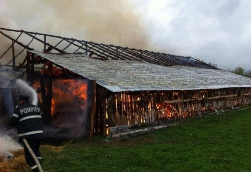 Încarcerat după ce a incendiat un saivan și doi câini