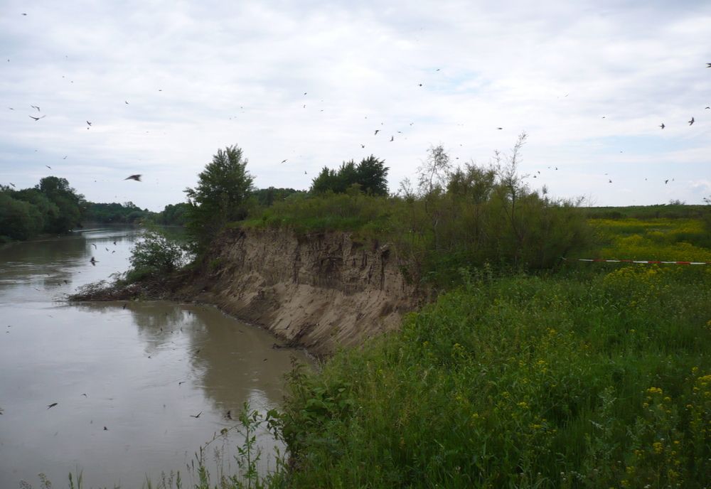 Pompierii brăileni caută un bărbat înecat în râul Siret