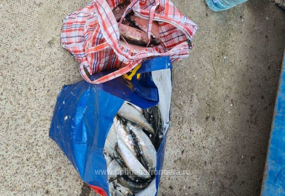 Braconieri depistaţi de polițiștii de frontieră brăileni