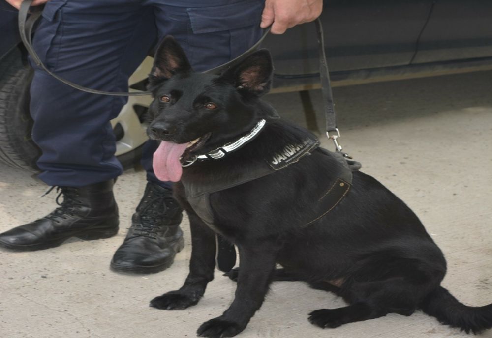 Vineri jandarmii vor fi prezenți la evenimentului „Jandarm pentru o zi”