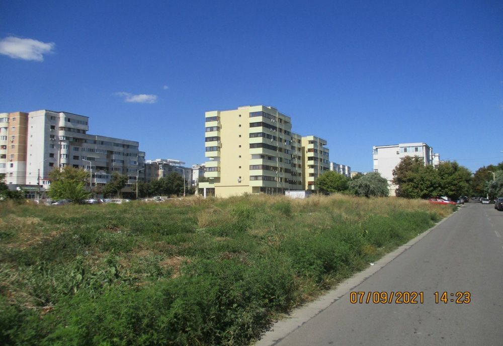 Sancționați cu avertisment pentru că nu au curățat terenurile pe care le au în proprietate de buruiana ambrozia