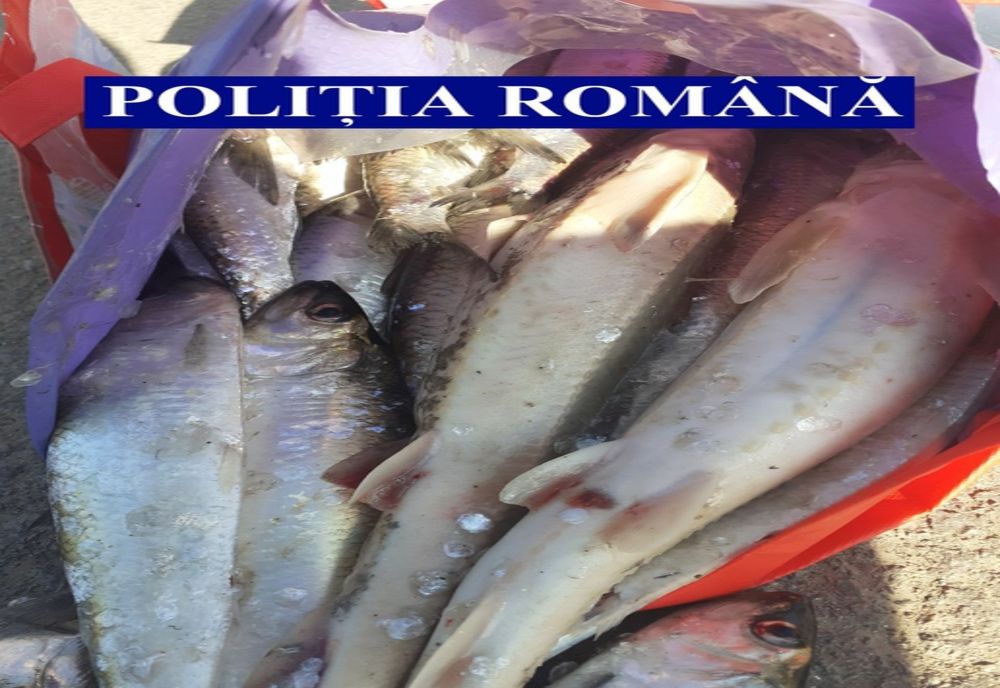 Dosare penale pentru infracțiuni în domeniul piscicol