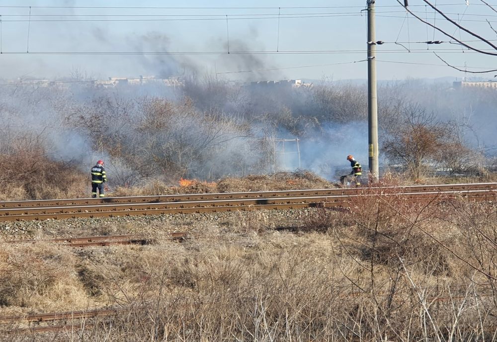 Pompierii de la ISU Brăila au intervenit pentru stingerea a nouă incendii de vegetație uscată 