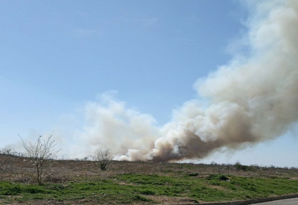 Pompierii brăileni au intervenit pentru limitarea și lichidarea a 3 incendii de vegetație uscată și gunoi