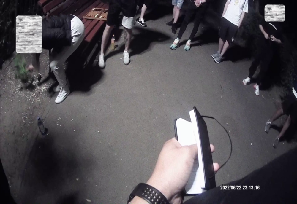 Spărgători de semințe amendați de Poliția Locală  Brăila 