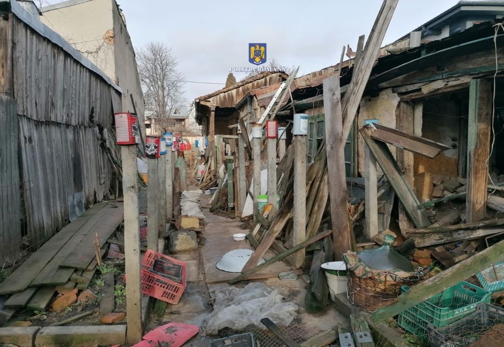 Brăilean amendat cu 18.500 lei pentru că ținea cinci câini în condiții improprii