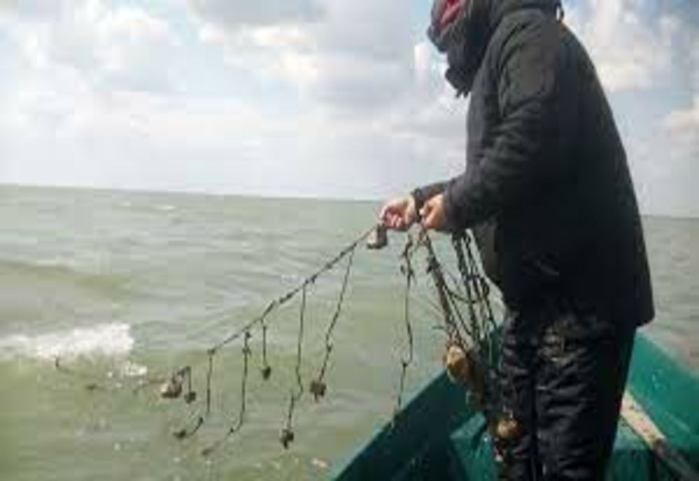 Infracțiuni la regimul piscicol și rutier