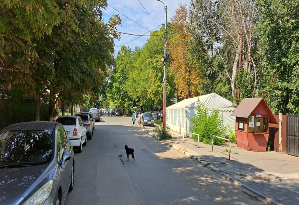 Stațiunea Lacu Sărat își schimbă înfățișarea