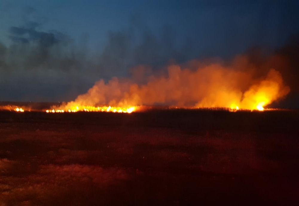 Pompierii brăileni au avut de stins patru incendii de vegetație