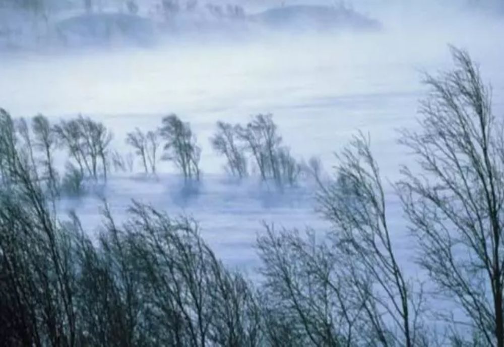 ANM: Cod portocaliu de ninsori și viscol. HARTA actualizată