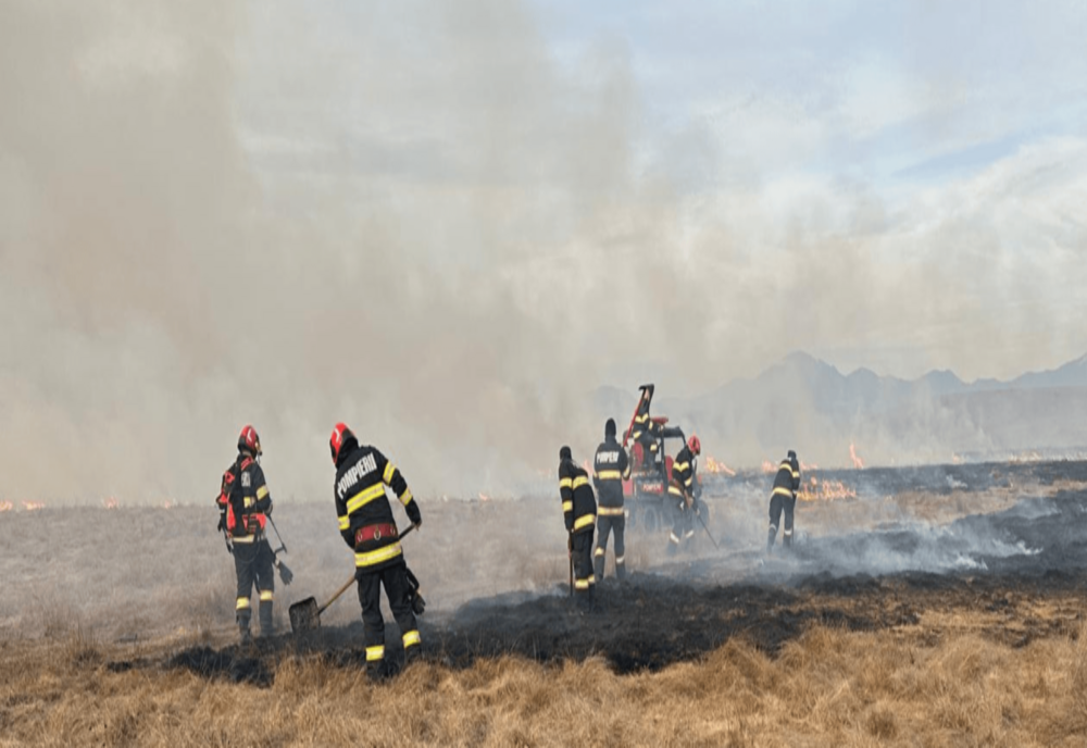 PESTE 8.000 DE HECTARE, AFECTATE DE ARDERILE DE VEGETAȚIE USCATĂ ȘI LITIERĂ DE PĂDURE