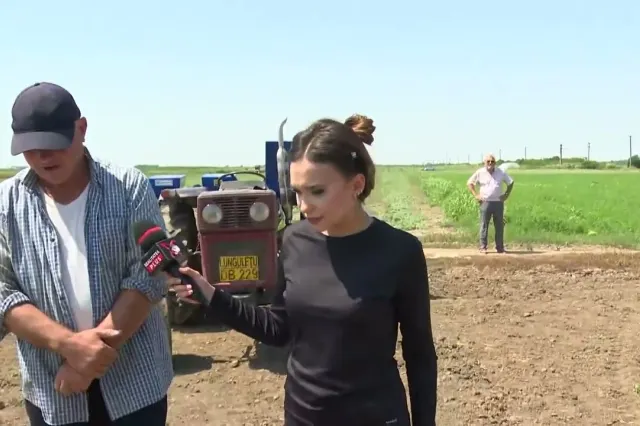 Alertă națională: Agricultorul român se confruntă cu cel mai crunt an din ultimele trei decenii! 