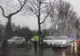 Au traversat pe roșu și au ajuns la spital