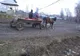 Prins cu produsele agricole furate în căruță