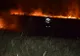 Incendiu de vegetație în Rezervația Insula Mică a Brăilei