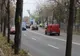 Trei brăileni surprinși de polițiști cu lemne de foc furate din Parcul Monument