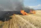 Măsuri de prevenire la recoltarea cerealelor păioase