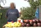 37 kg de legume, au fost confiscate din poarta unui tânăr, în Râmnicelu