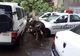 Furtuna a făcut ravagii în Brăila