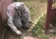 Crimă în comuna brăileană Traian