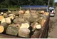 Sancționat cu amendă de 5000 de lei pentru că nu corespundea cantitatea de lemne din mașină cu cea din acte