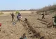 Proiect de regenerare a perdelelor forestiere pe DN2B