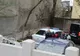 Violatorii au fost aduși în fața instanței