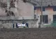 Tânăr din Ianca omorât de paznicul unei vile din Bologna